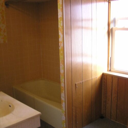 Bathroom mold