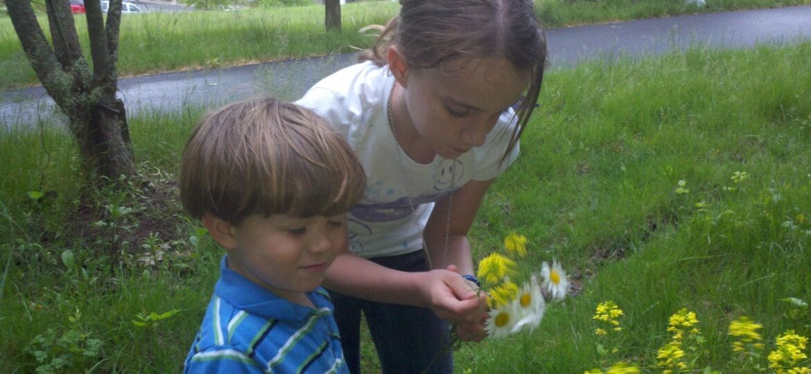 Gardening