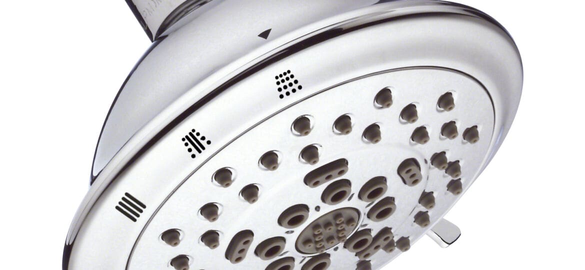 Danze Florin 5-Function Shower Head