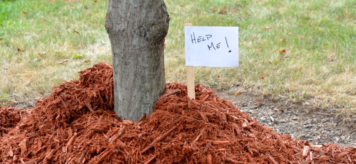 Bark mulch