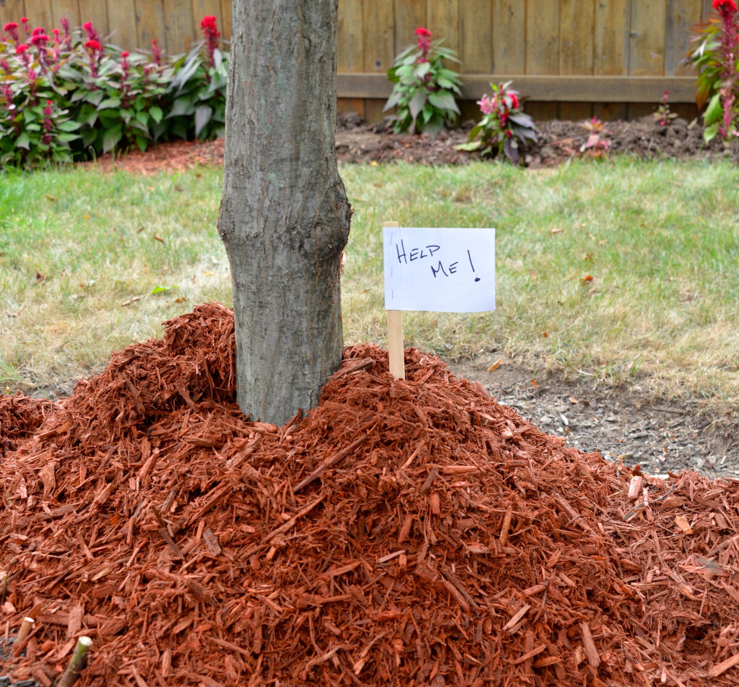 ‣ MyFixitUpLife Bark mulch