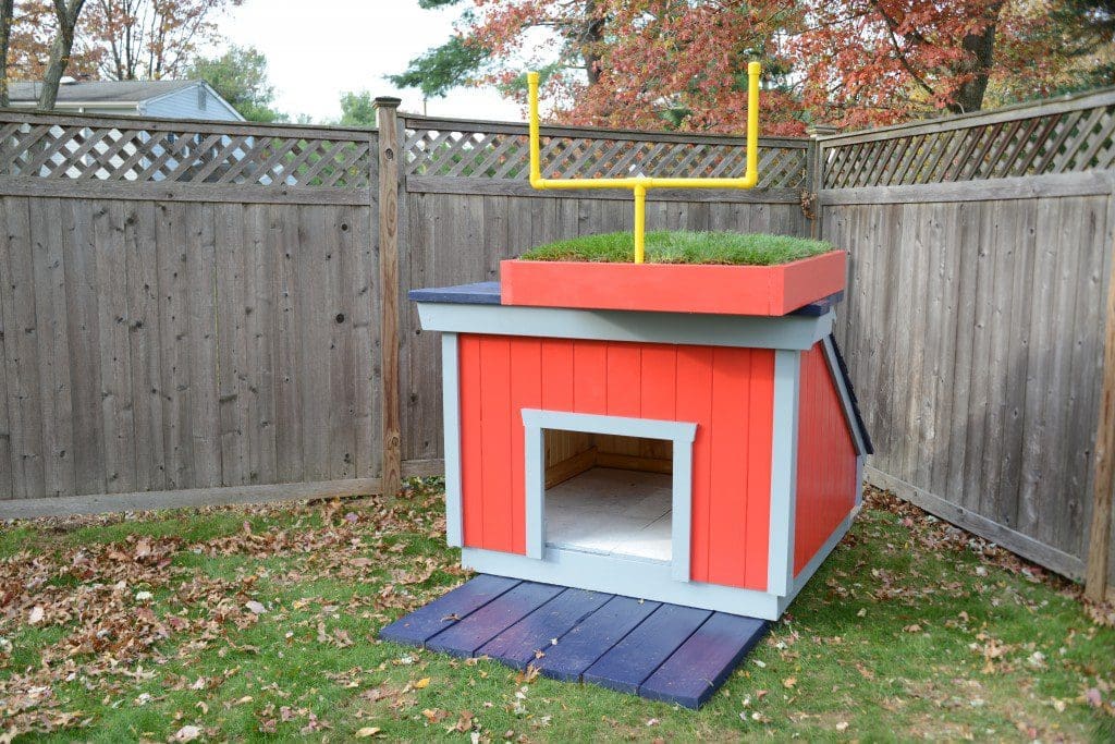 ‣ MyFixitUpLife The Glidden Team Colors New England Patriots Dog House