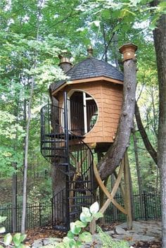 Amazed and Amused - Treehouse - MyFixitUpLife