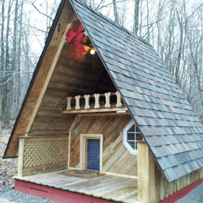 Amazed and Amused - MyFixitUpLife - Dog House