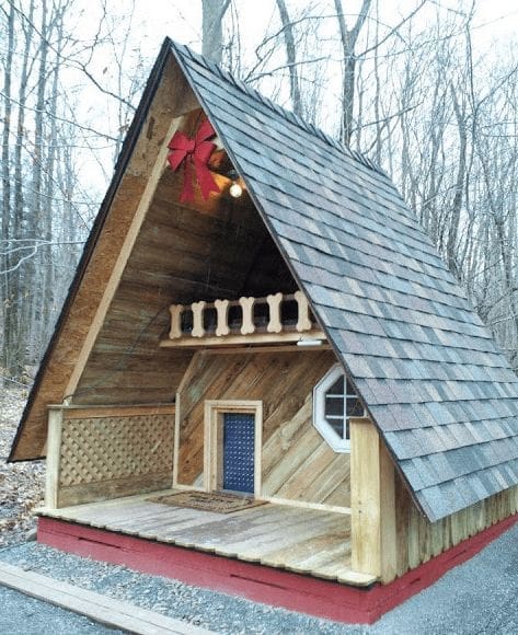 ‣ MyFixitUpLife Amazed and Amused - MyFixitUpLife - Dog House