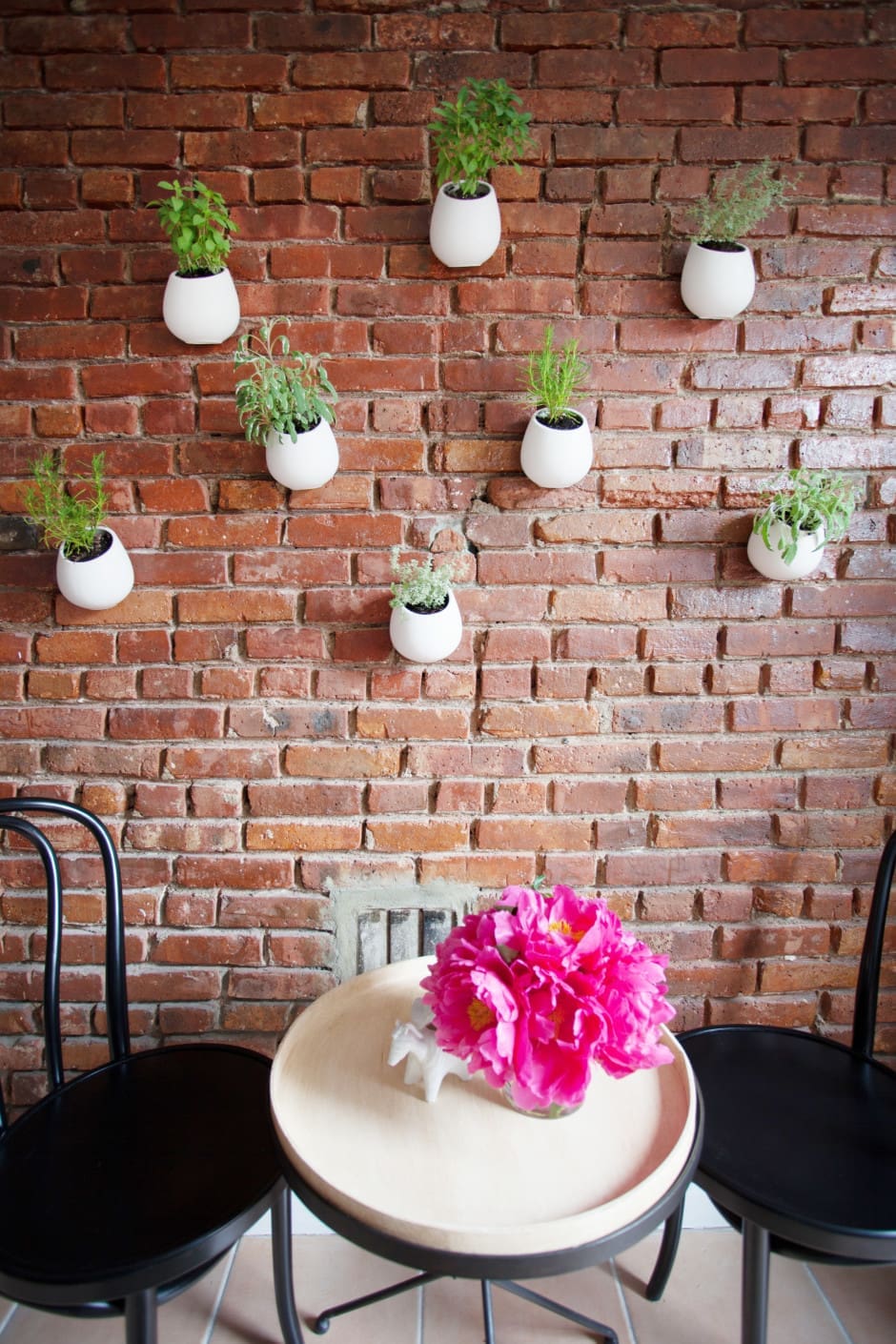 ‣ MyFixitUpLife 2016_AphroChic_kitchen_MyFixitUpLife_blab_plant