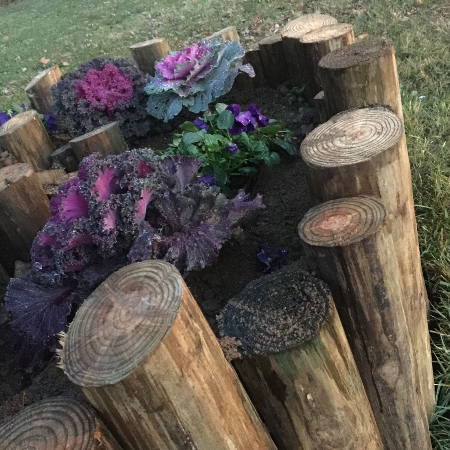 ‣ MyFixitUpLife Winter Garden