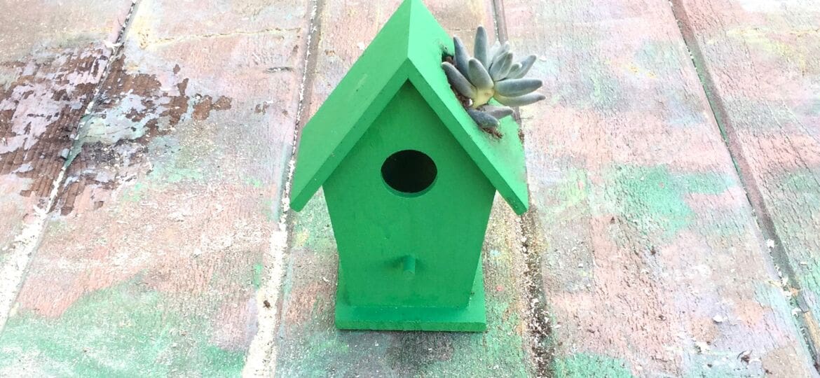 Z Birdhouse succulent craft myfixituplife after green