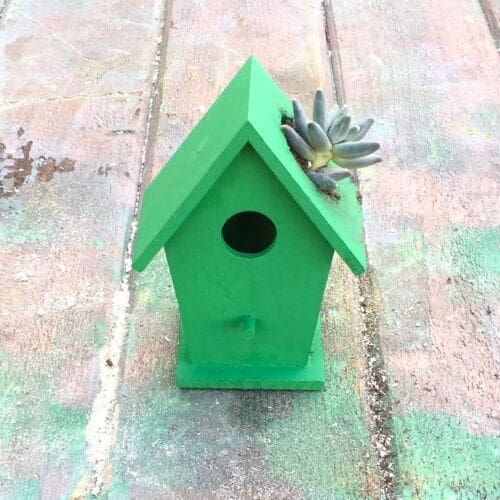 Z Birdhouse succulent craft myfixituplife after green