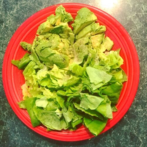 Salad avocado red plate Alzheimer's disease MyFixitUpLife Theresa