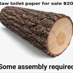 ‣ MyFixitUpLife Crafty Beaver_log toilet paper myfixituplife