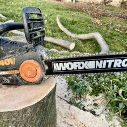 ‣ MyFixitUpLife Mark Worx Nitro Chainsaw MyFixitUpLife