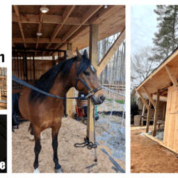 ‣ MyFixitUpLife MyFixitUpLife How to Build a Horse Barn