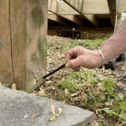 ‣ MyFixitUpLife Post-preservative-MyFixitUpLife